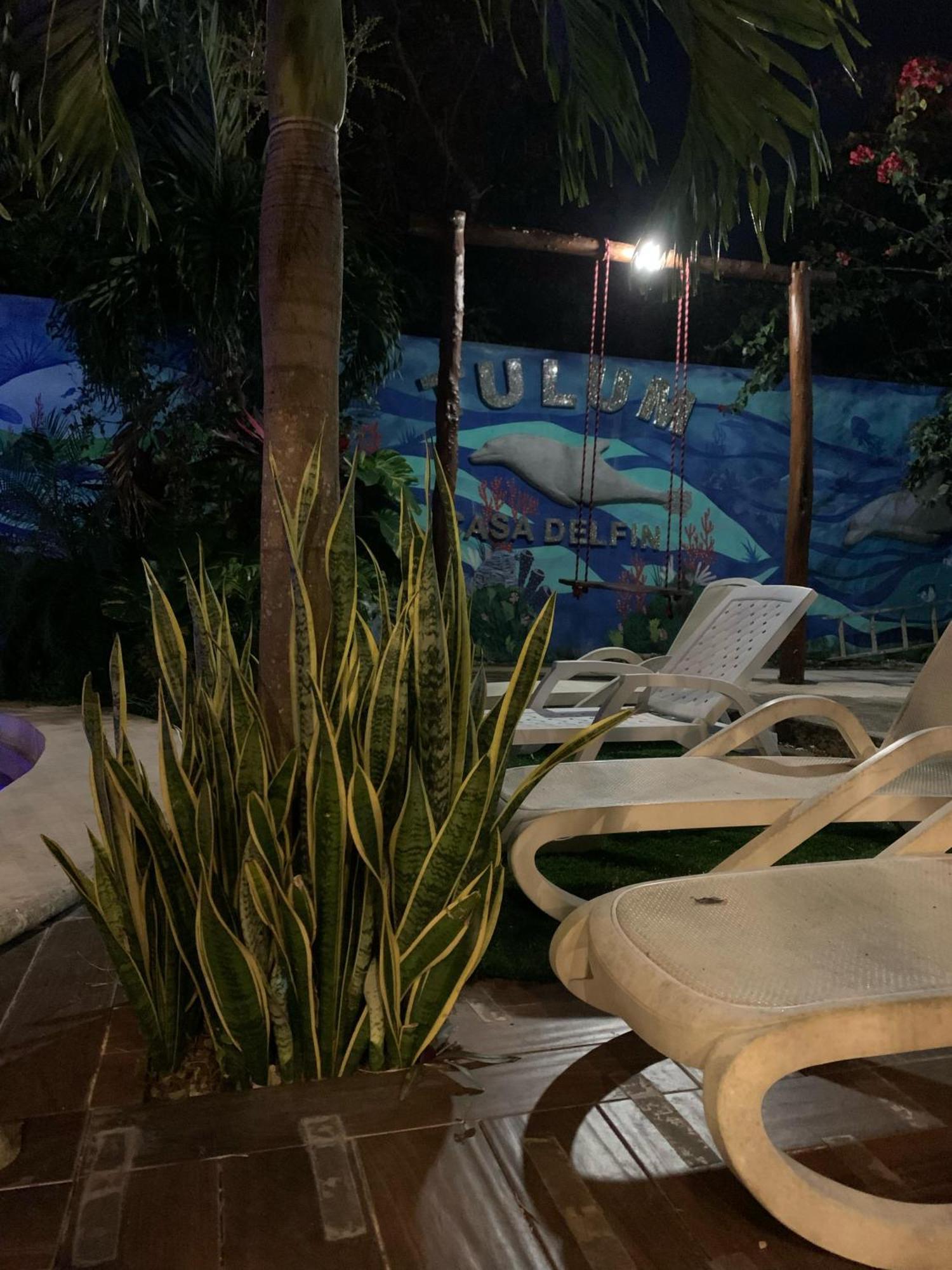 Casa Delfin Tulum Apartment Macario Gomez ภายนอก รูปภาพ